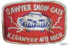 marquette_sawyer_snow_cats.jpeg (198490 bytes)